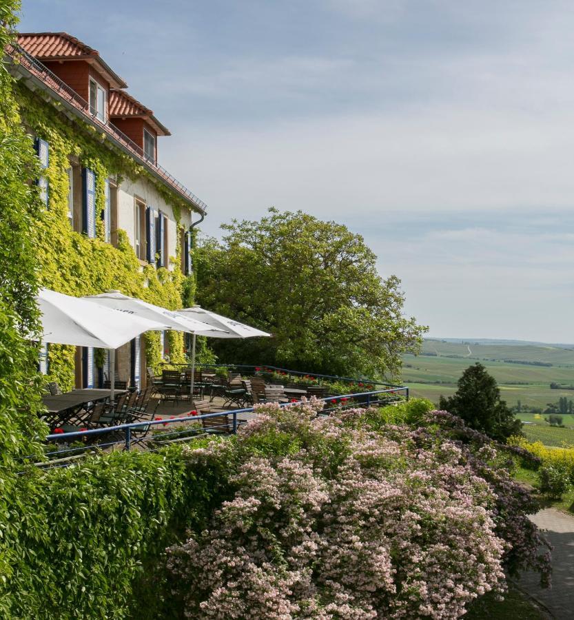 Hofgut Wißberg - Das Weinberghotel Sankt Johann  Exterior foto