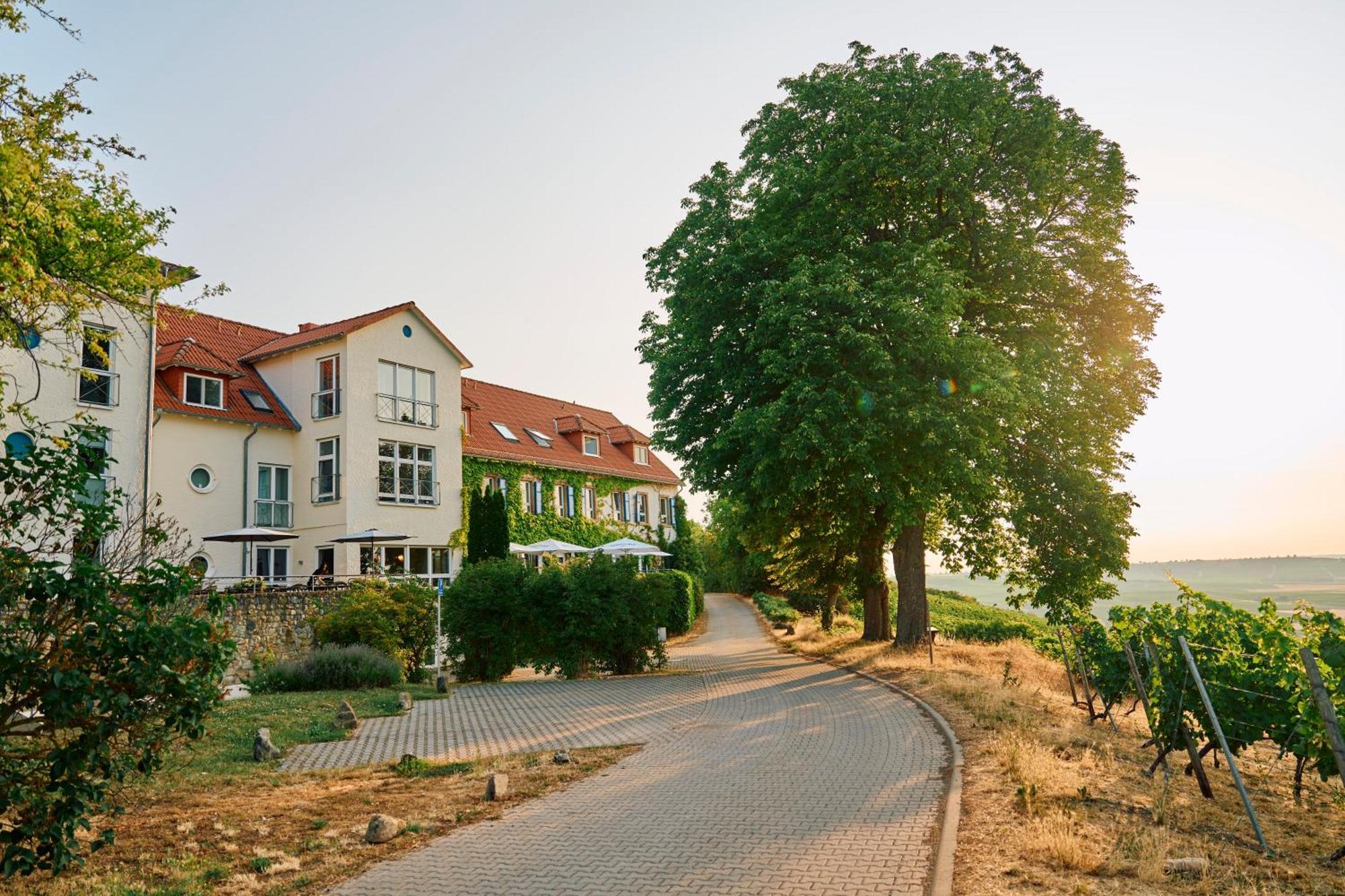 Hofgut Wißberg - Das Weinberghotel Sankt Johann  Exterior foto