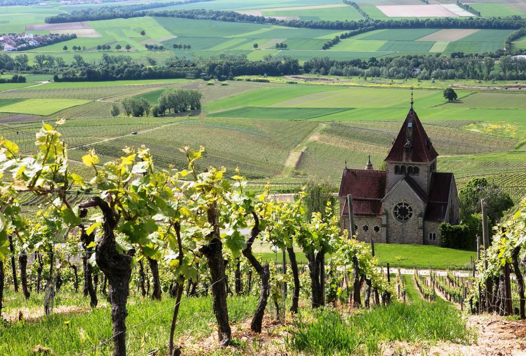 Hofgut Wißberg - Das Weinberghotel Sankt Johann  Exterior foto